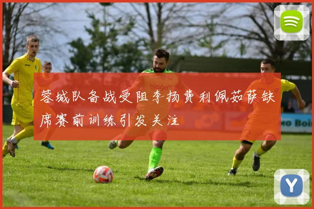 蓉城队备战受阻李扬费利佩茹萨缺席赛前训练引发关注