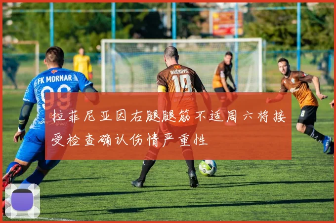 拉菲尼亚因右腿腿筋不适周六将接受检查确认伤情严重性